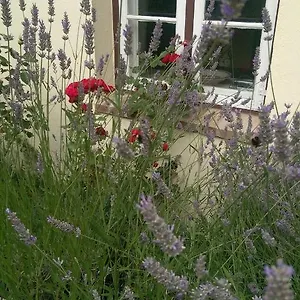 Im Einhornhaus Apartment